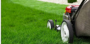 lawn mower service Adelaide